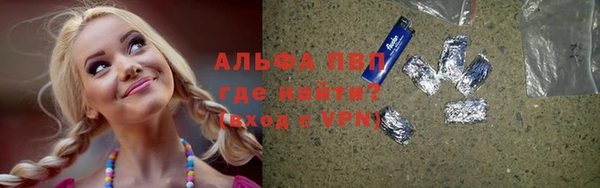 гашик Горняк