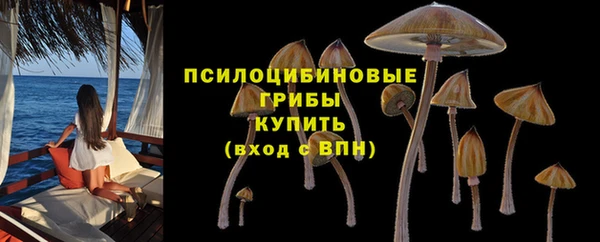 соль ск Горнозаводск