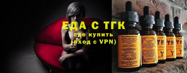 гашик Горняк