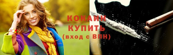 гашик Горняк
