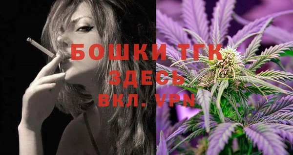 гашик Горняк