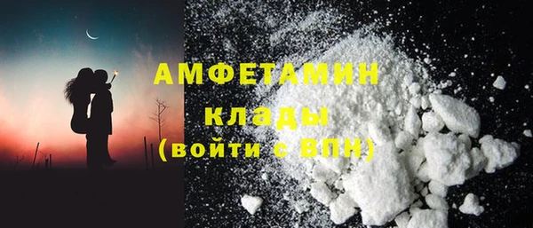 гашик Горняк