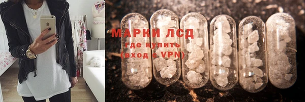 соль ск Горнозаводск