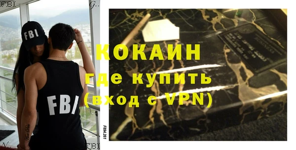гашик Горняк