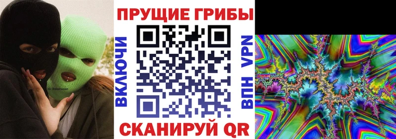 площадка состав Нальчик Галлюциногенные грибы ЛСД